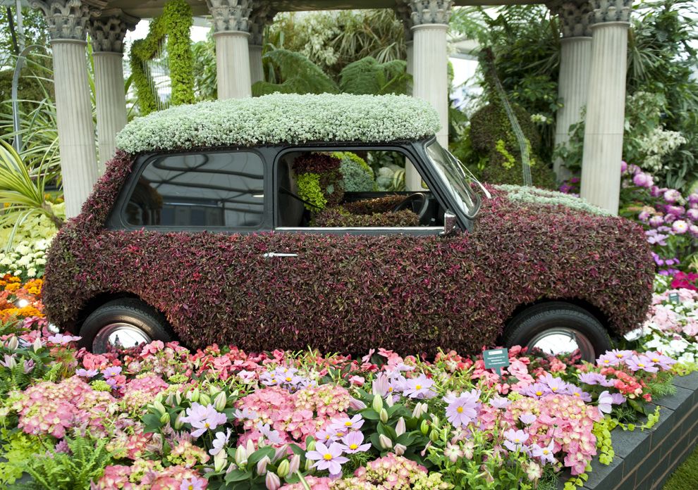 Chelsea Flower Show 2012: A Photo Gallery of the worlds most.