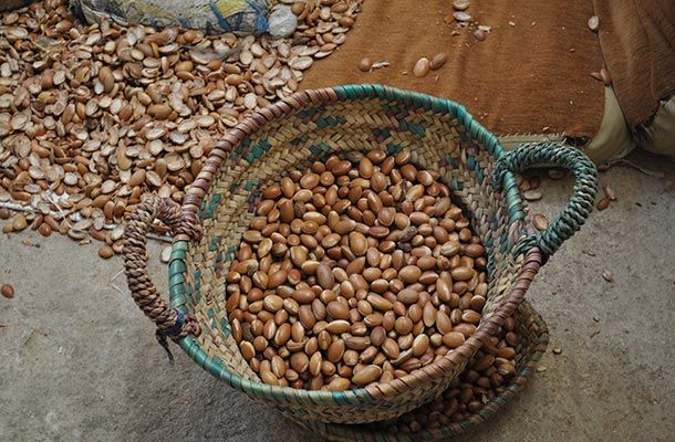 Alicia Douvall in Morocco argan nuts