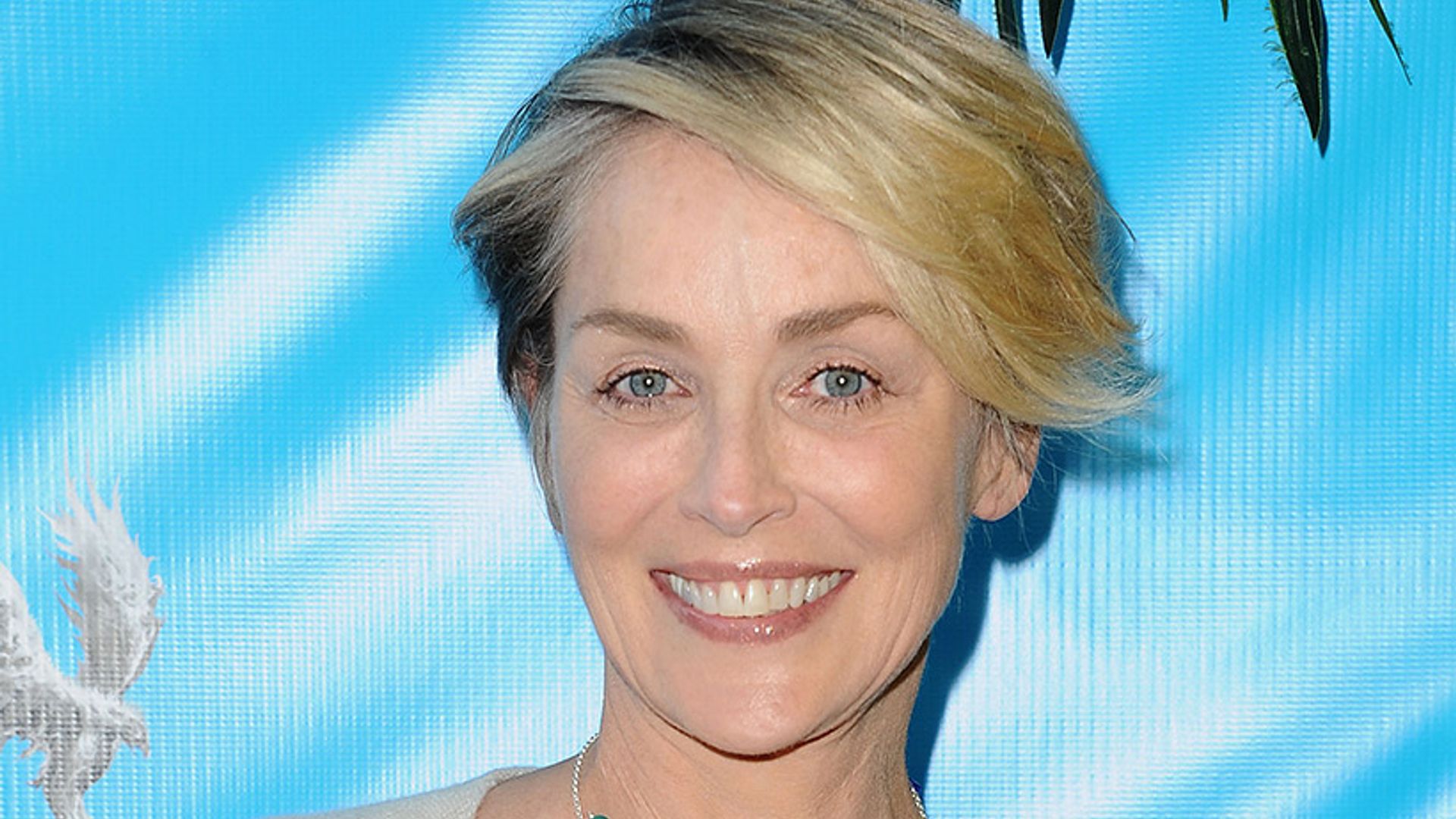 Sharon Stone shares rare family photo after summer of fun with her sons