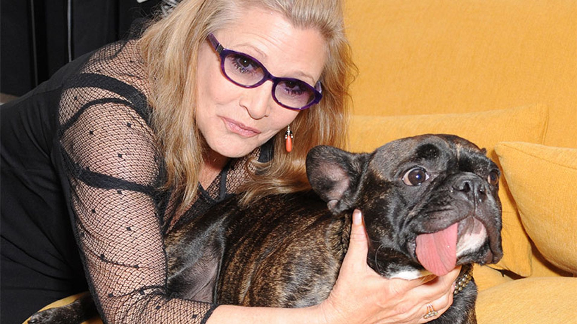 Carrie Fisher's dog Gary's tweets will break your heart