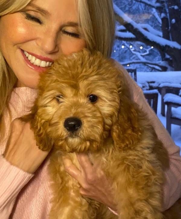 christie-brinkley-with-new-puppy