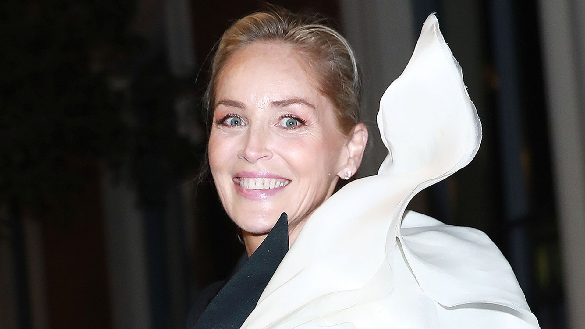 Sharon Stone delights fans with exciting announcement