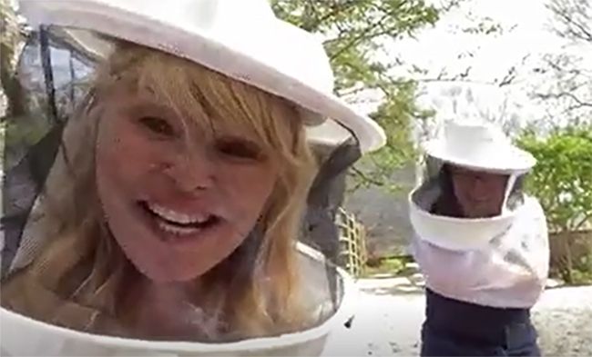 christie-brinkley-beekeeper-uniform