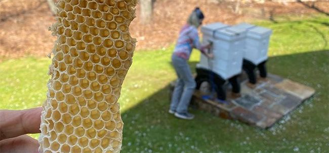 christie-brinkley-holding-honeycomb