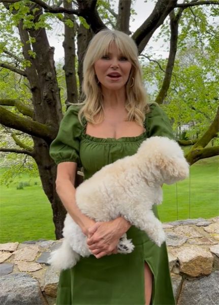 christie-brinkley-green-dress-holding-dog