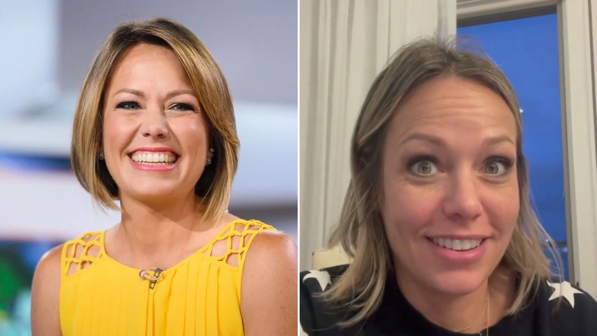 Dylan Dreyer leaves fans in hysterics over Memorial Day weekend family video