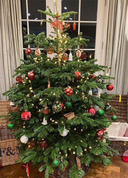 ben-shephard-christmas-tree