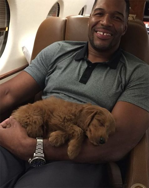 michael-strahan-puppy-private-jet