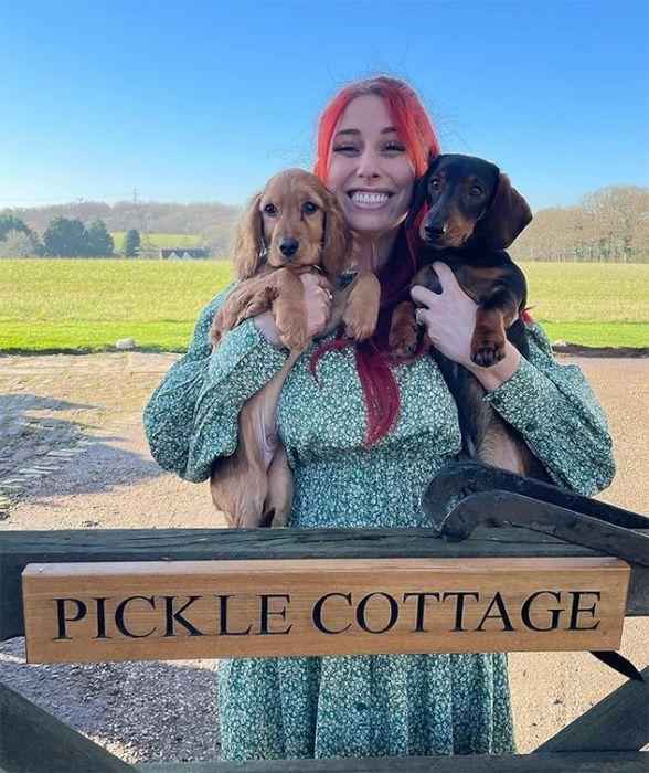 stacey-solomon-dogs