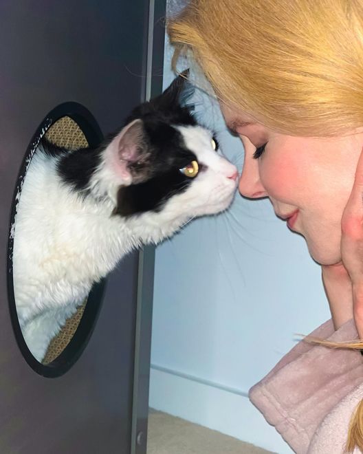 nicole-kissing-cat-louis