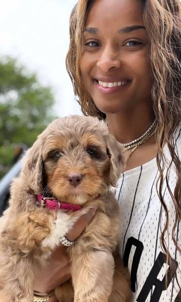 ciara-puppy-bronco-family-update-bronco