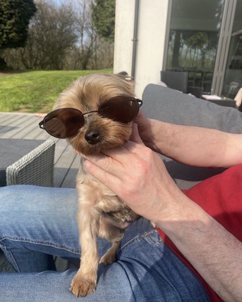 coleen-nolan-dog-mica-sunglasses