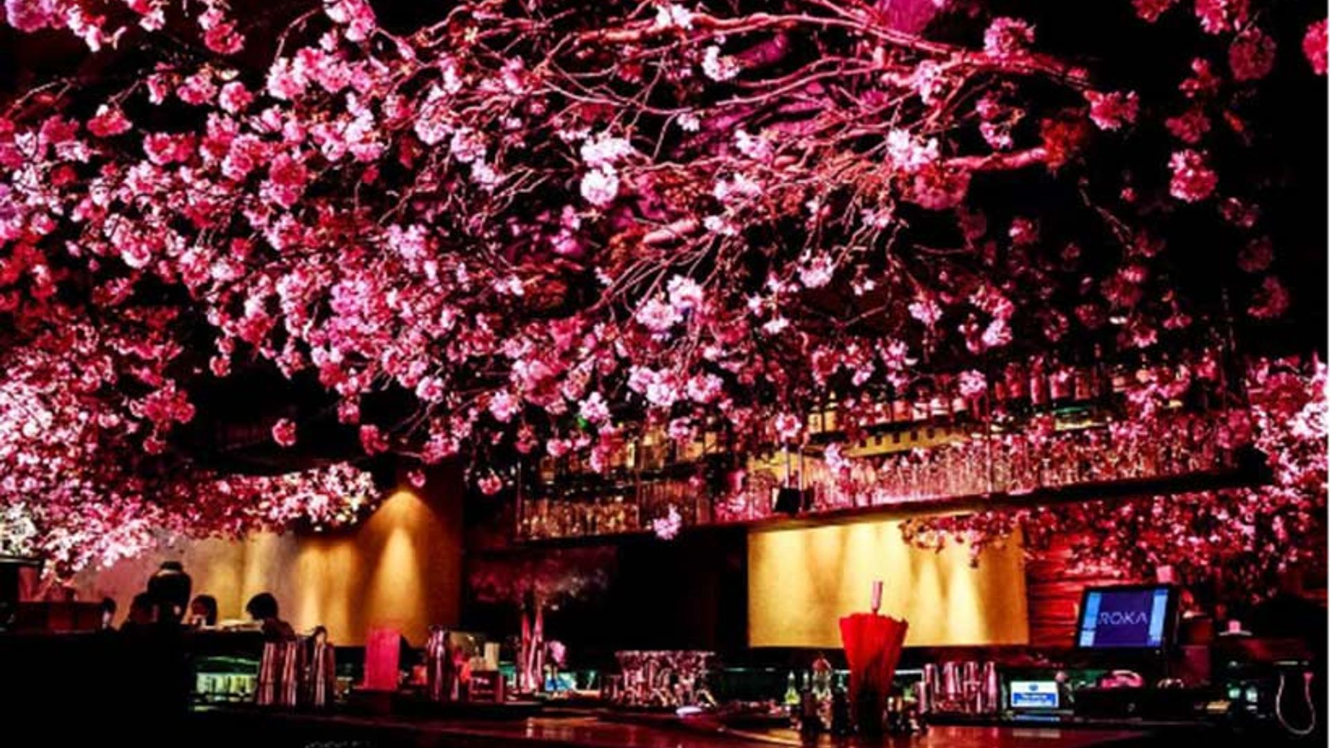 This Japanese restaurant has taken the cherry blossom craze to the next level
