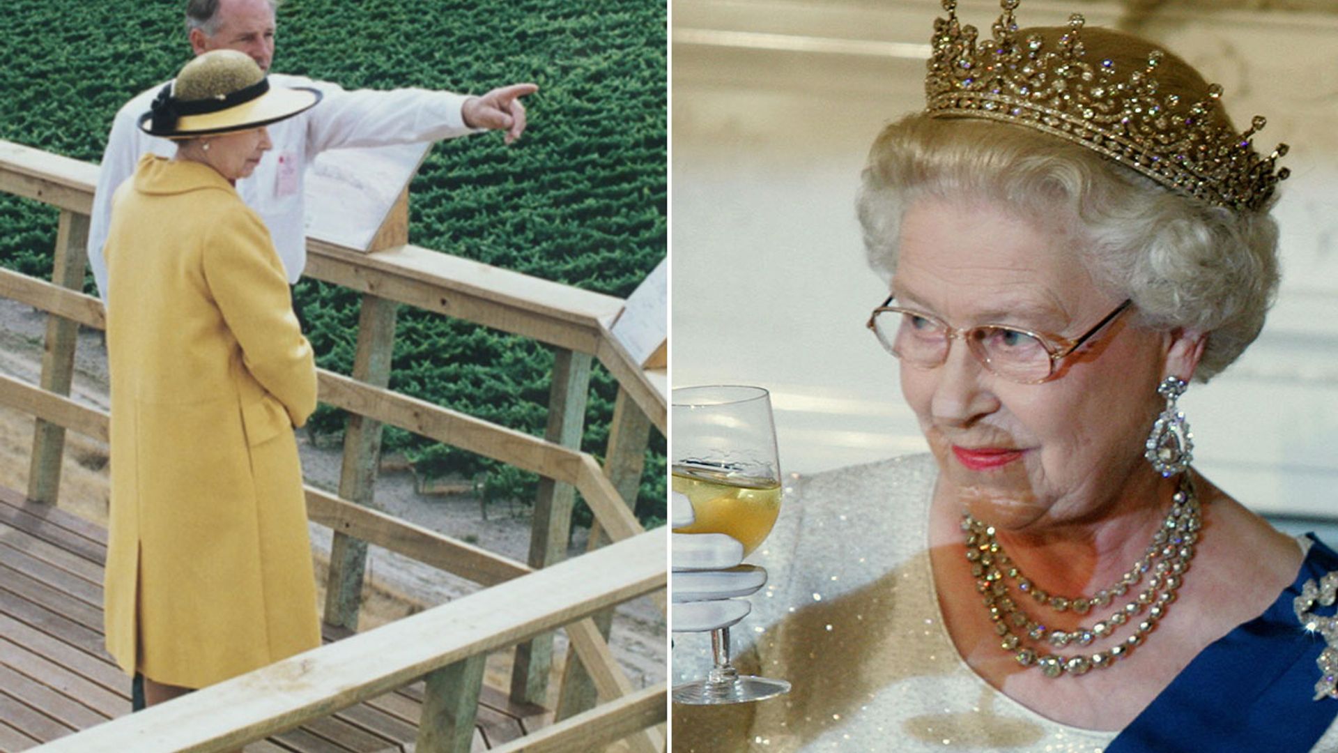The Queen's secret grapevine – and how you can try the wine for yourself!