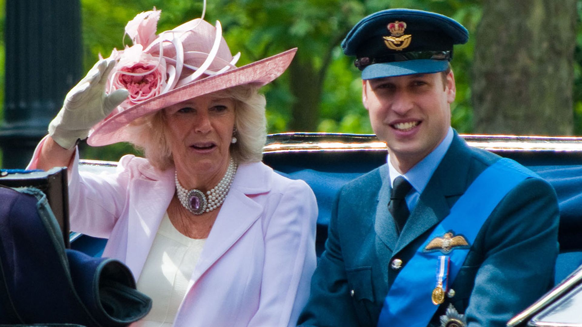 Duchess Camilla has exciting news for 'cider man' Prince William