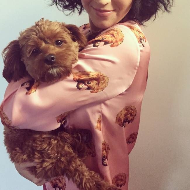 Katy-Perry-dog-pajamas