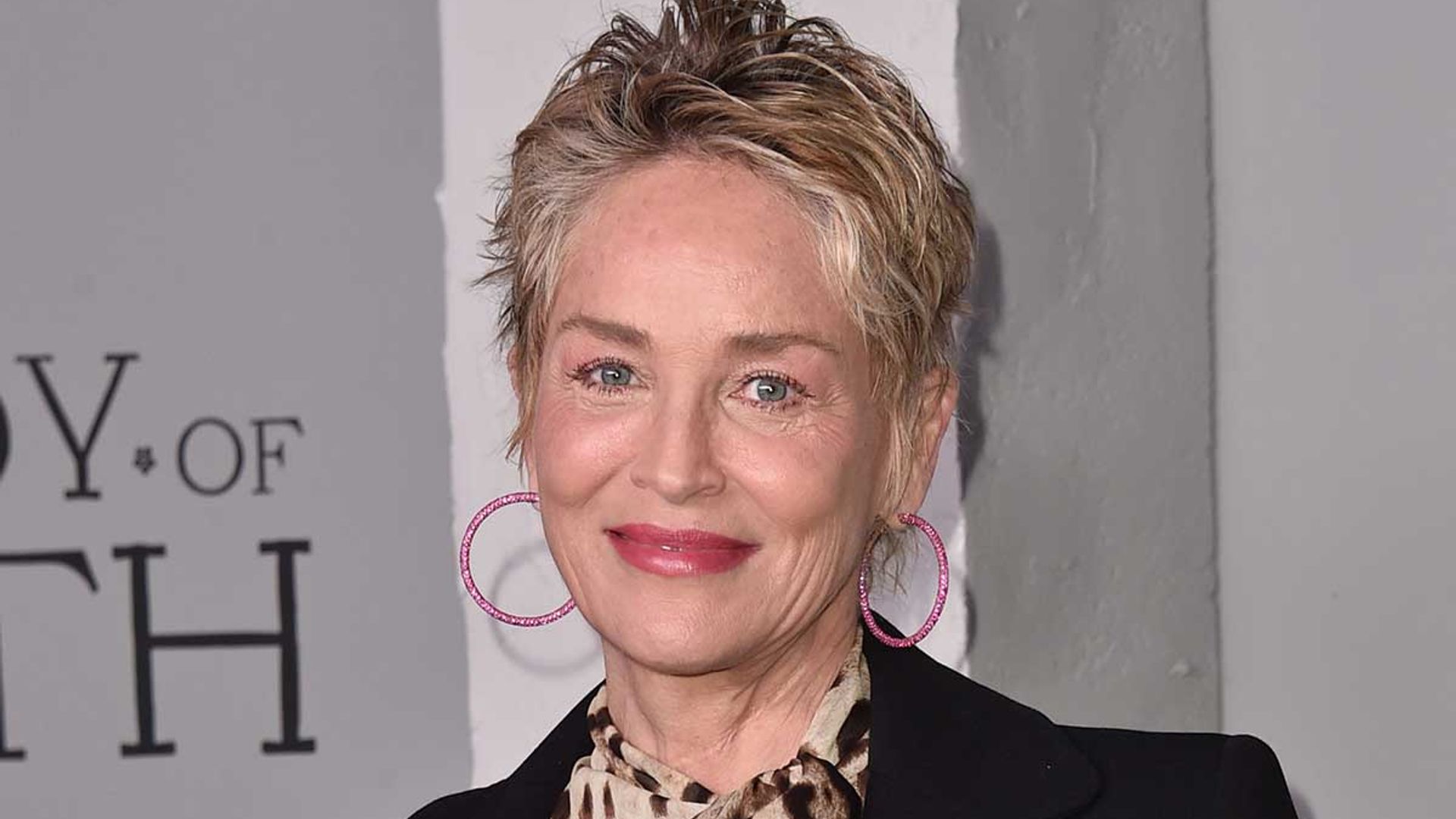 Sharon Stone commands attention in daring sheer dress