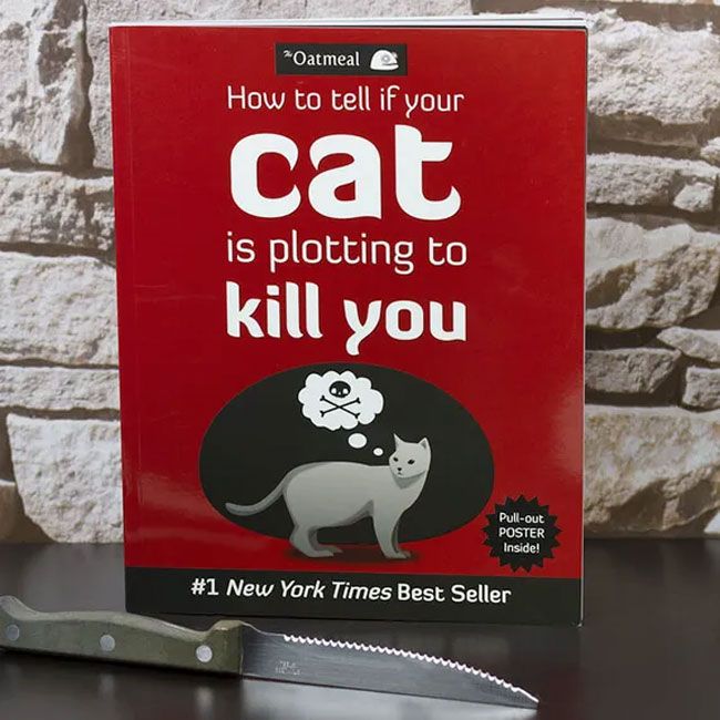cat-killing-you