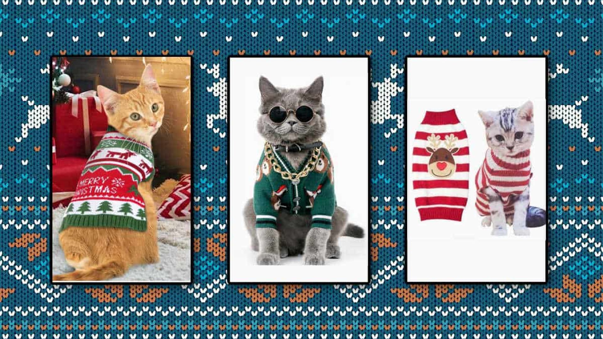 best cat christmas jumpers for your pet-1