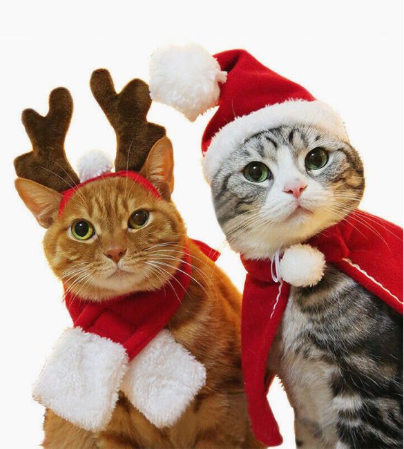 christmas costumes for cats