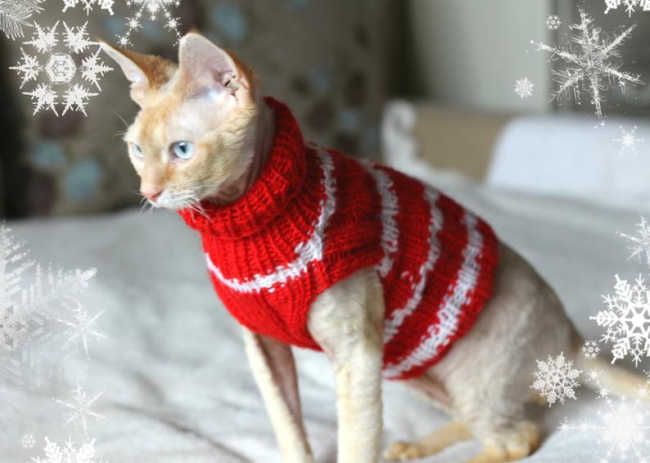 handmade christmas jumper for cats etsy
