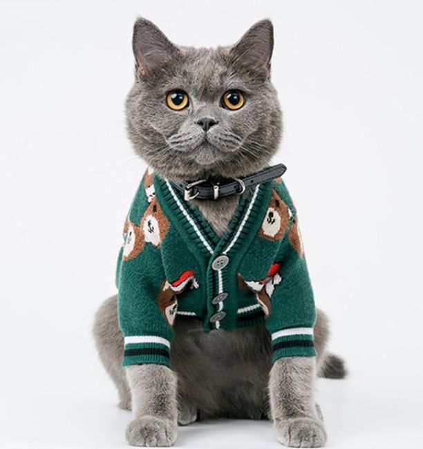christmas jumpers for cats cardigan