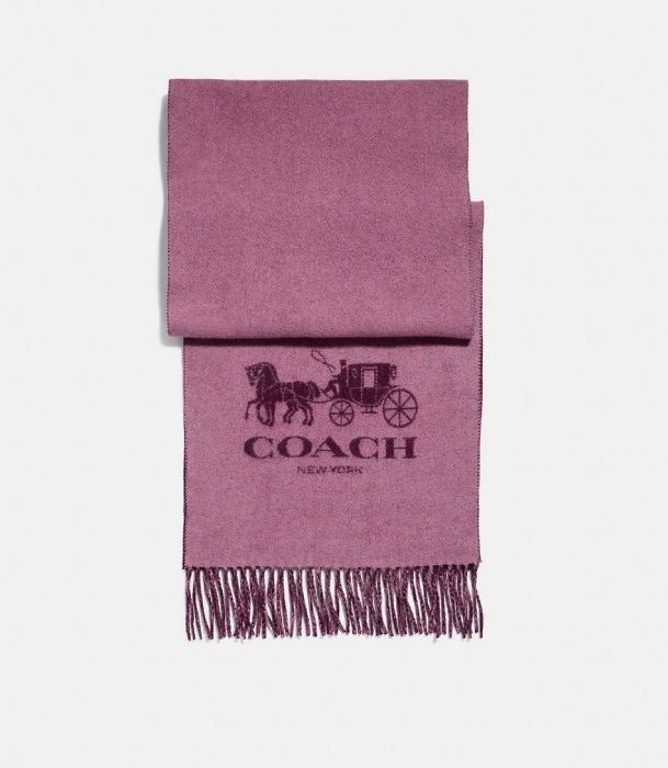 scarf-coach