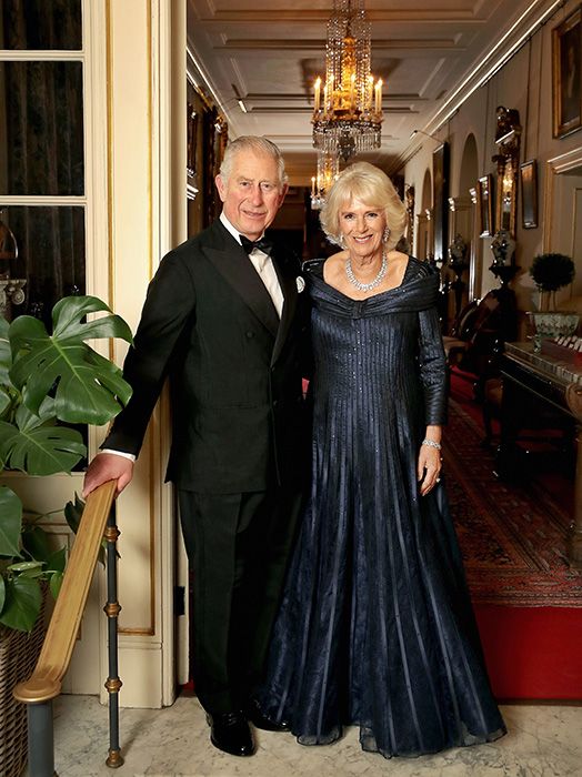 prince-charles-official-birthday-dinner-picture