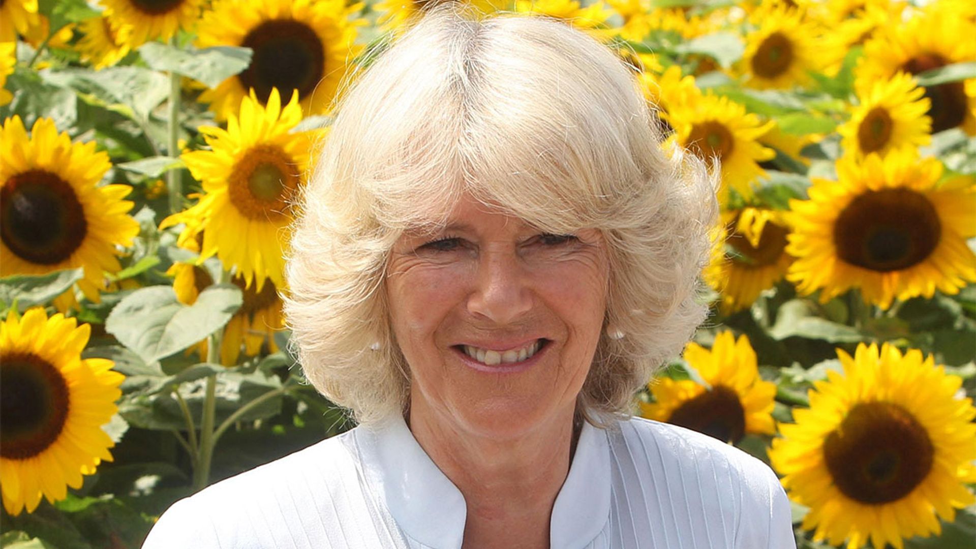 camilla-parker-bowles-outfit