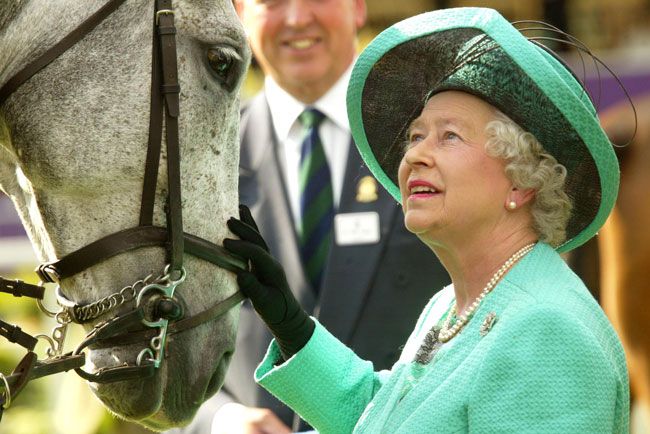 Queen-with-horse