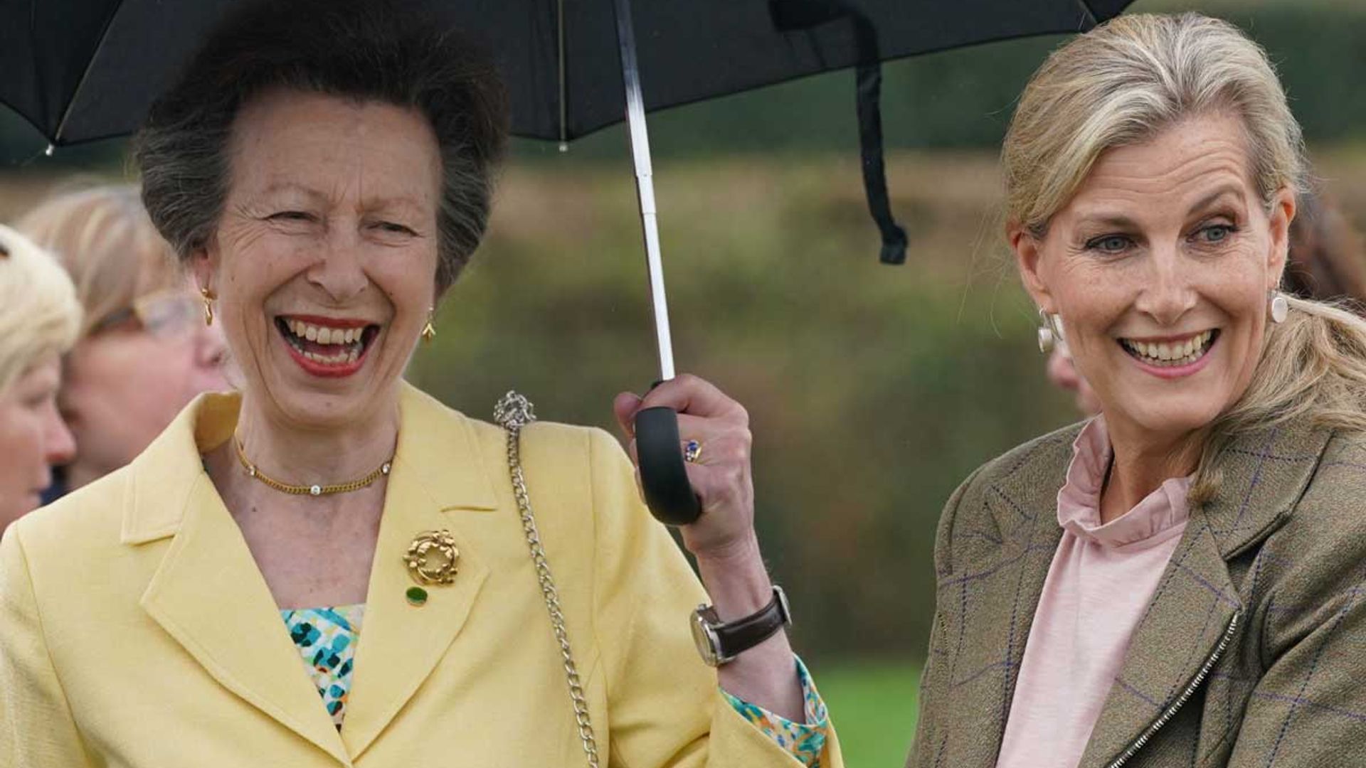 Princess Anne brings the sunshine in vibrant yellow blazer for latest outing