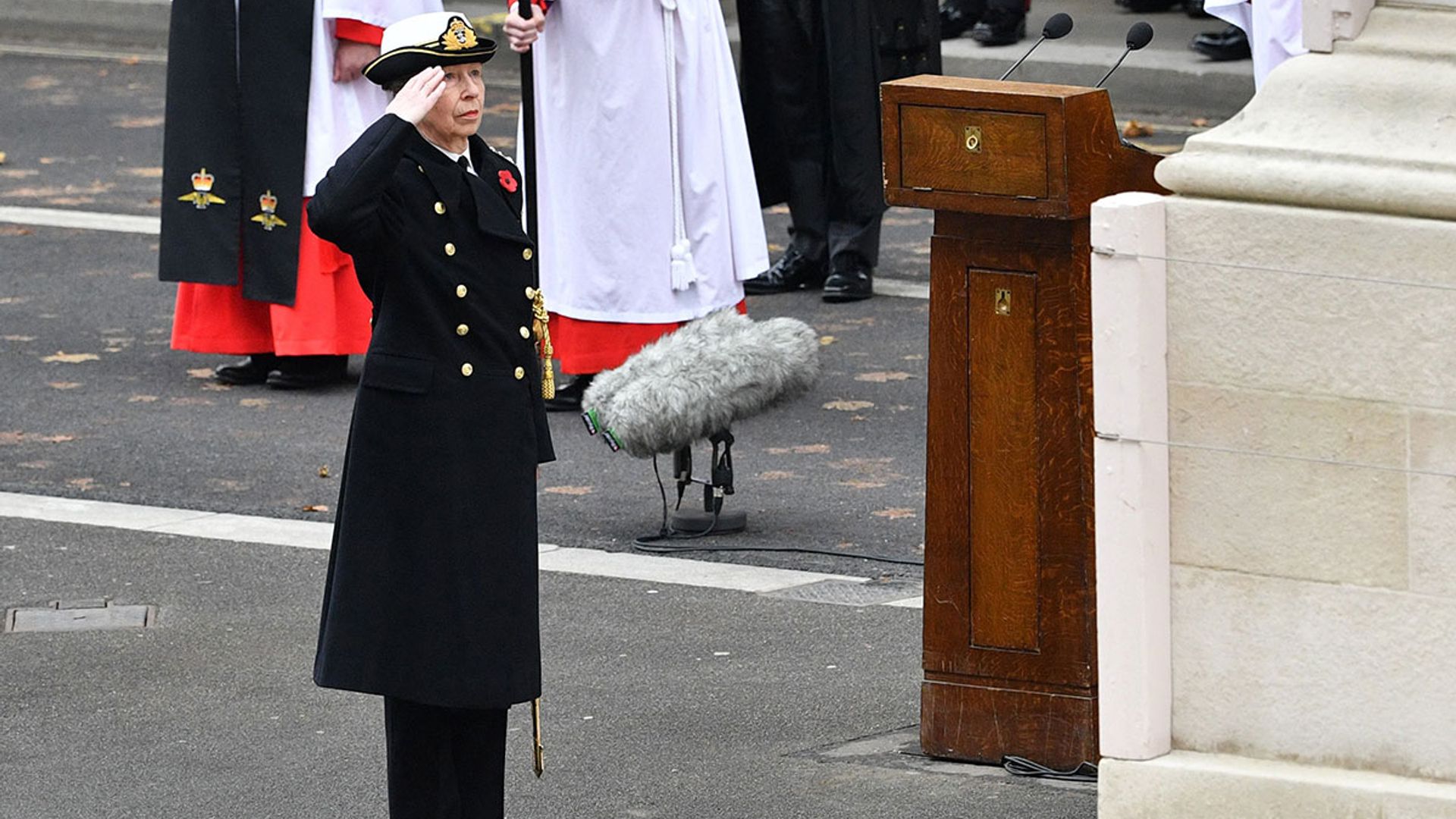 Princess Anne commands attention in military uniform on Remembrance Sunday