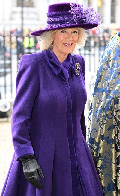 duchess-of-cornwall-purple