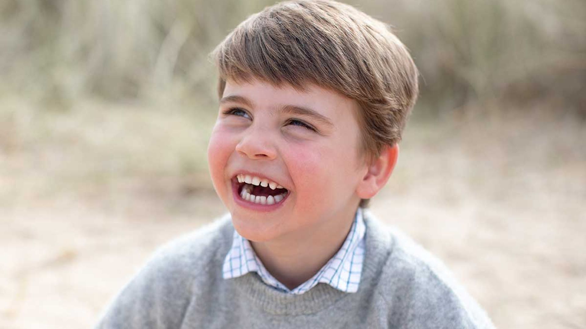 Prince Louis' star jumper in new birthday portraits is so adorable