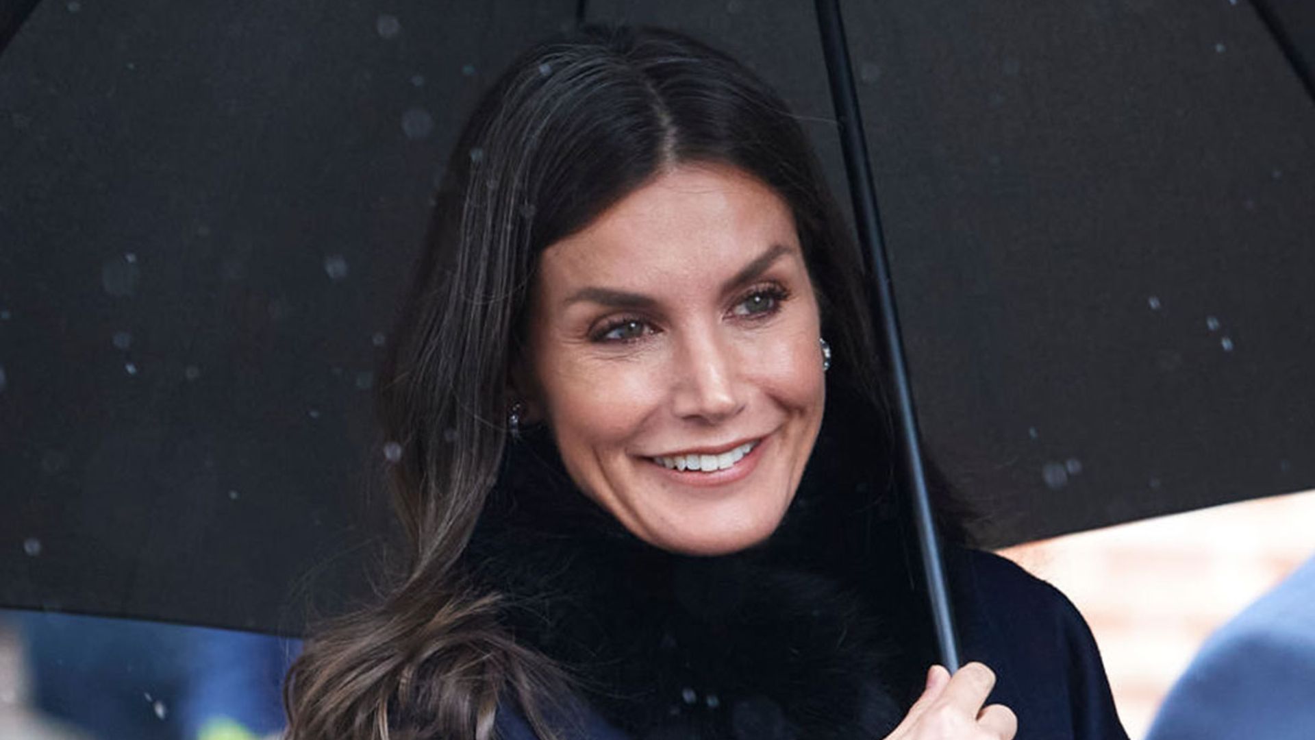 Queen Letizia looks sensational in navy pencil dress for special occasion