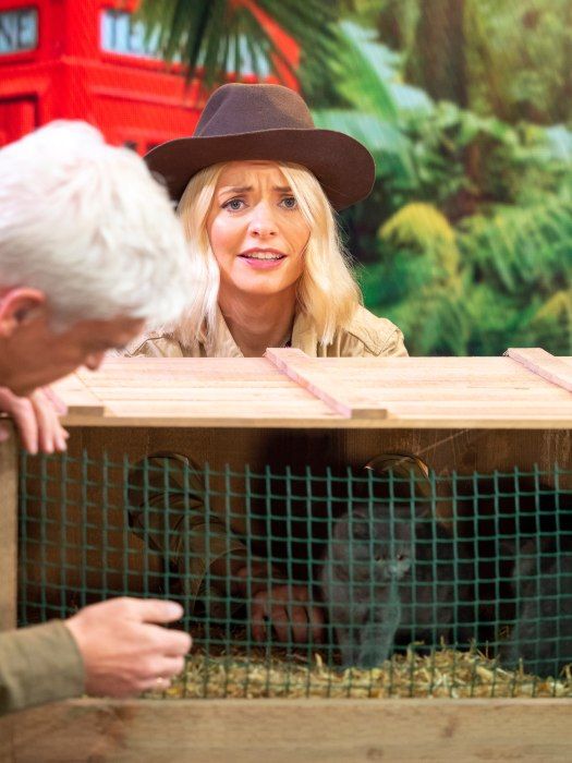 holly-willoughby-kitten
