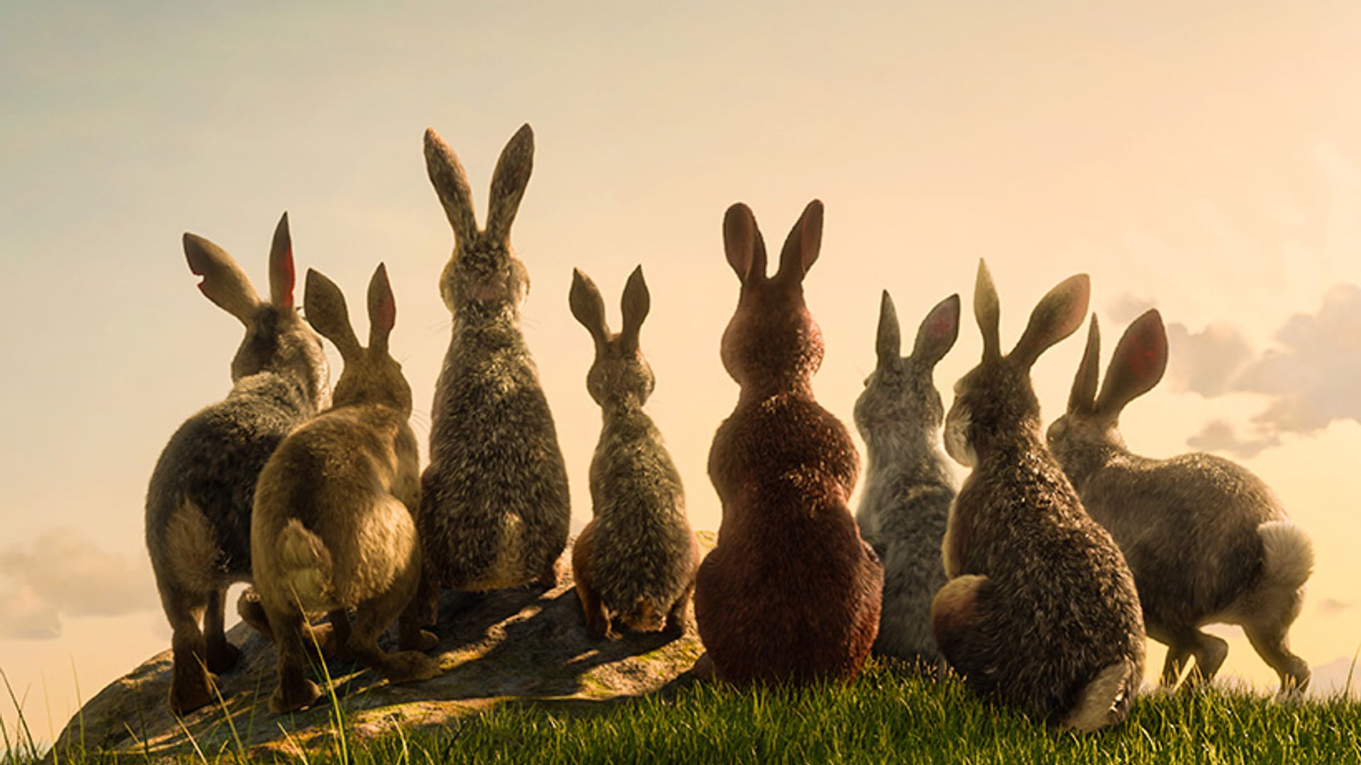 The first sneak peek at BBC's Watership Down mini-series is finally here