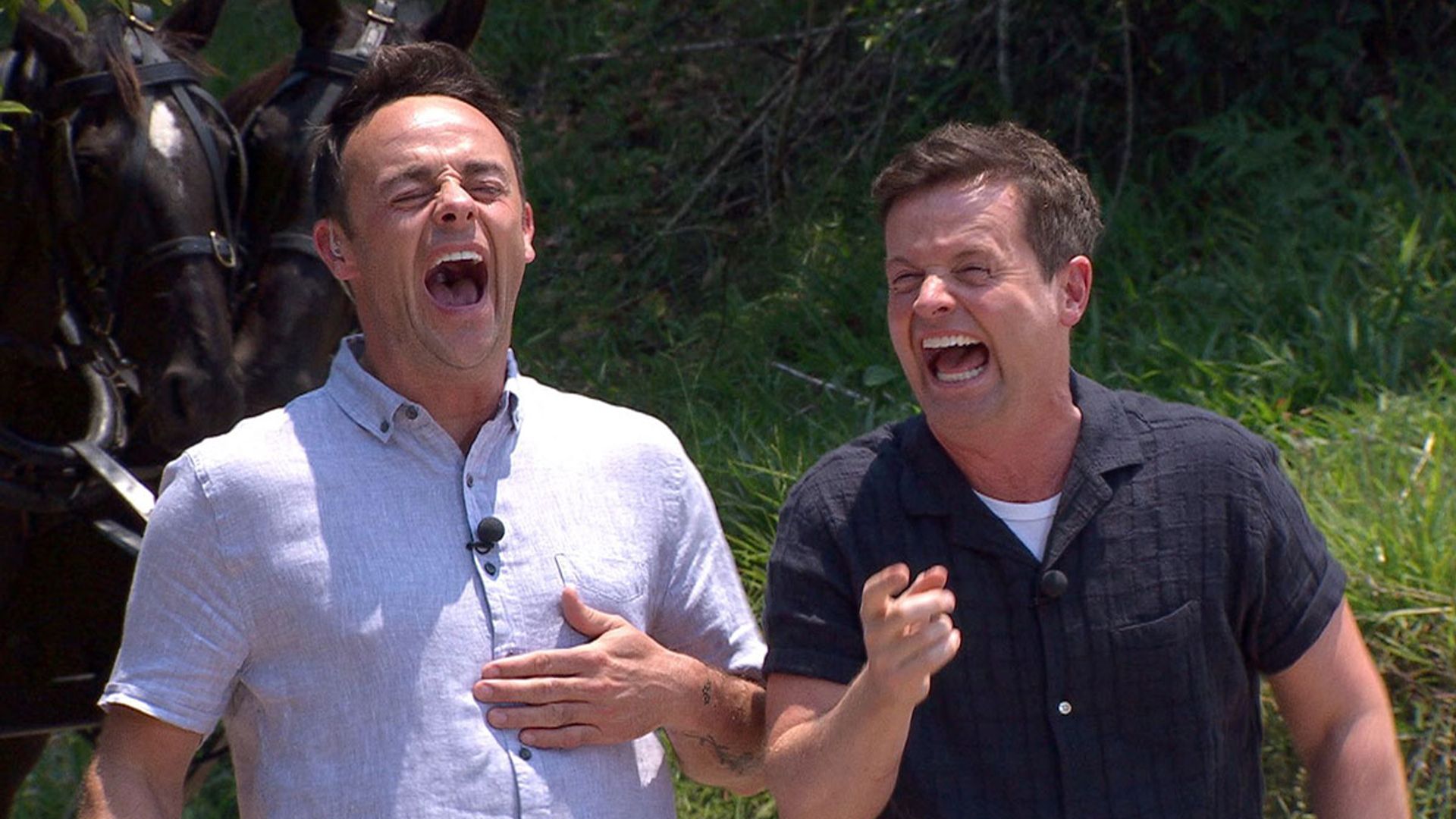 Ant reveals why I'm a Celebrity was going to have 'really bad show' thanks to Dec