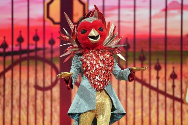 The Masked Singer: bookies' convinced of these identities ...