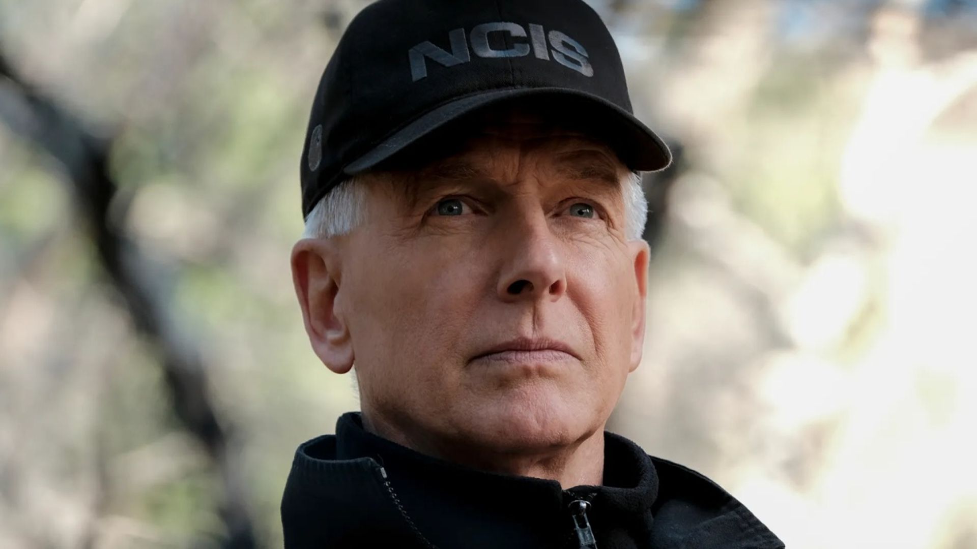 Jamie Lee Curtis shares sweet tribute to NCIS star Mark Harmon after he quits show