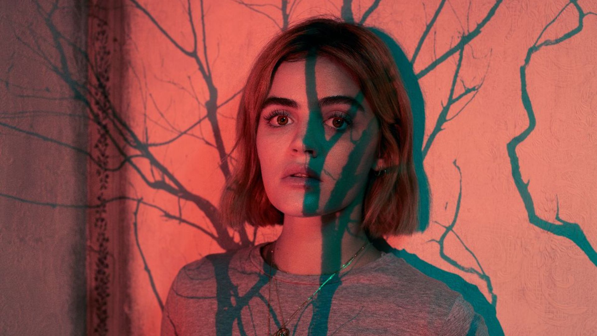 Ragdoll: everything you need to know about the new thriller starring Lucy Hale