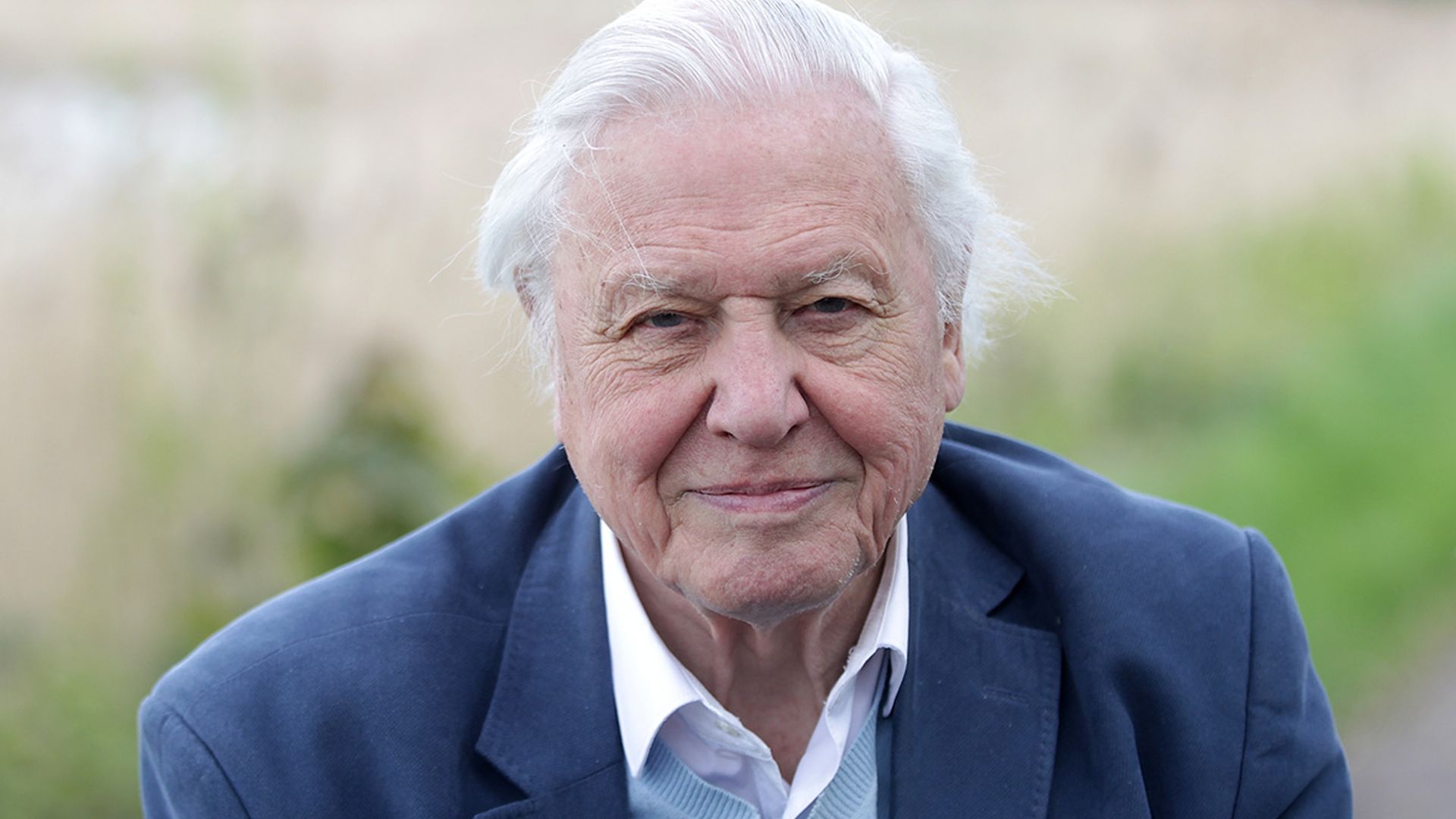 David Attenborough then vs now: take a look back at his early career