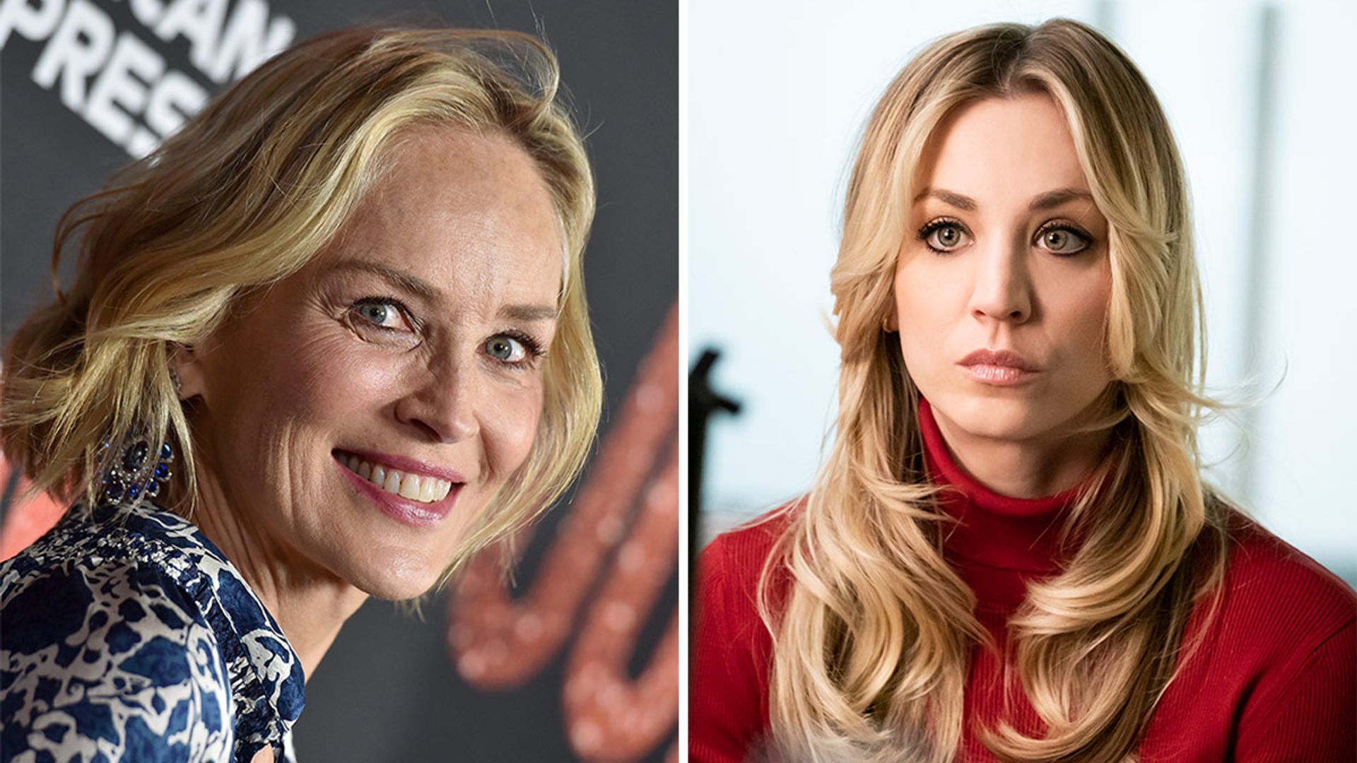 The Flight Attendant shares first look at Sharon Stone in season two – and fans react