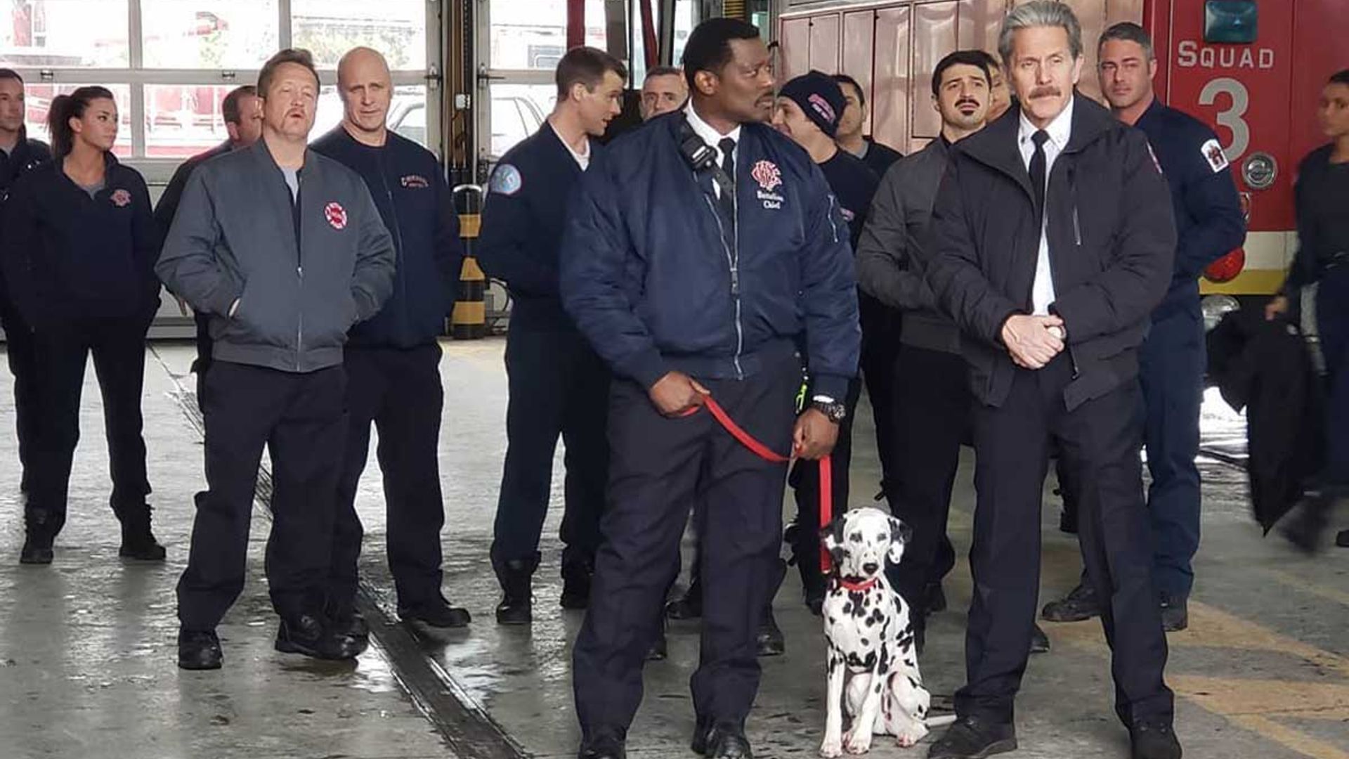 Chicago Fire fans pay emotional tribute following sad death of show's beloved dog