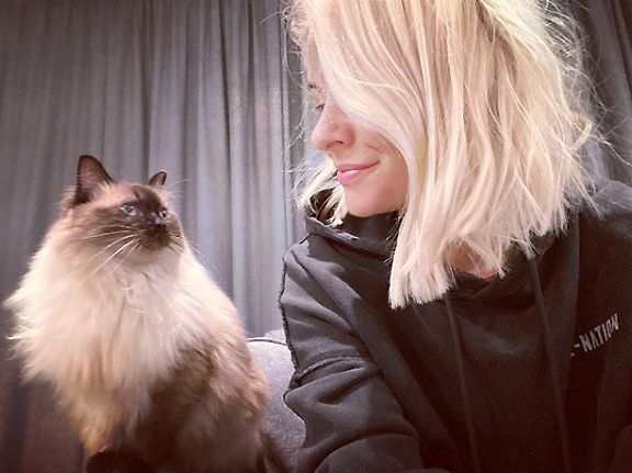 holly-willoughby-cat-instagram