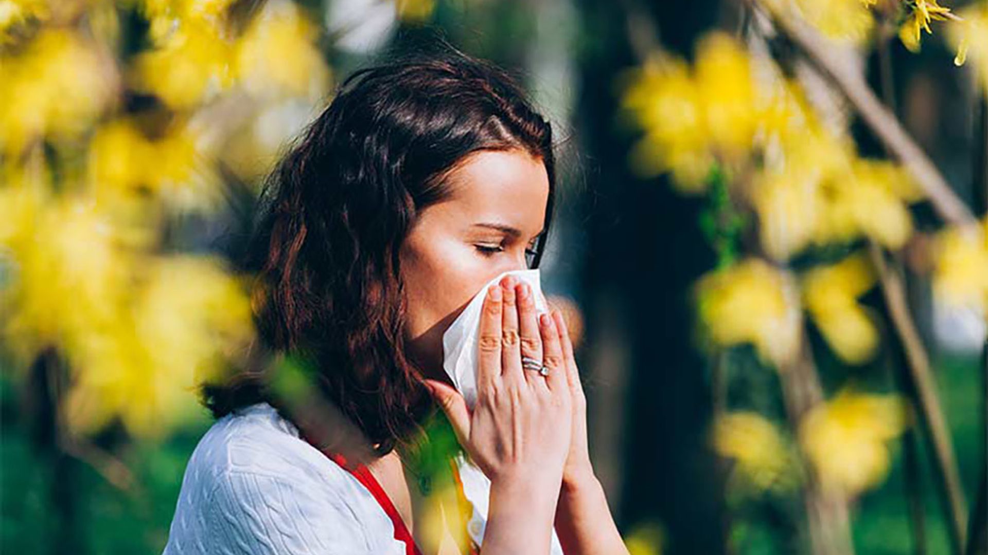14 natural remedies for hay fever sufferers