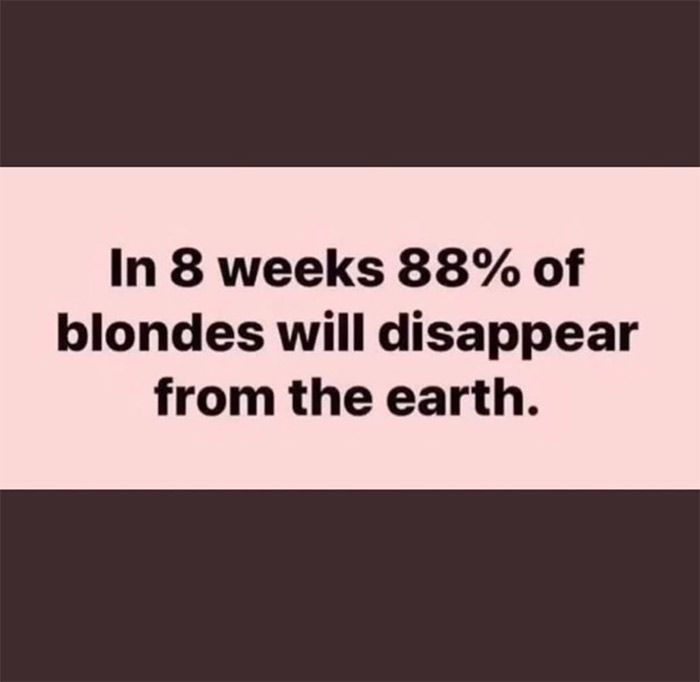 blonde-meme