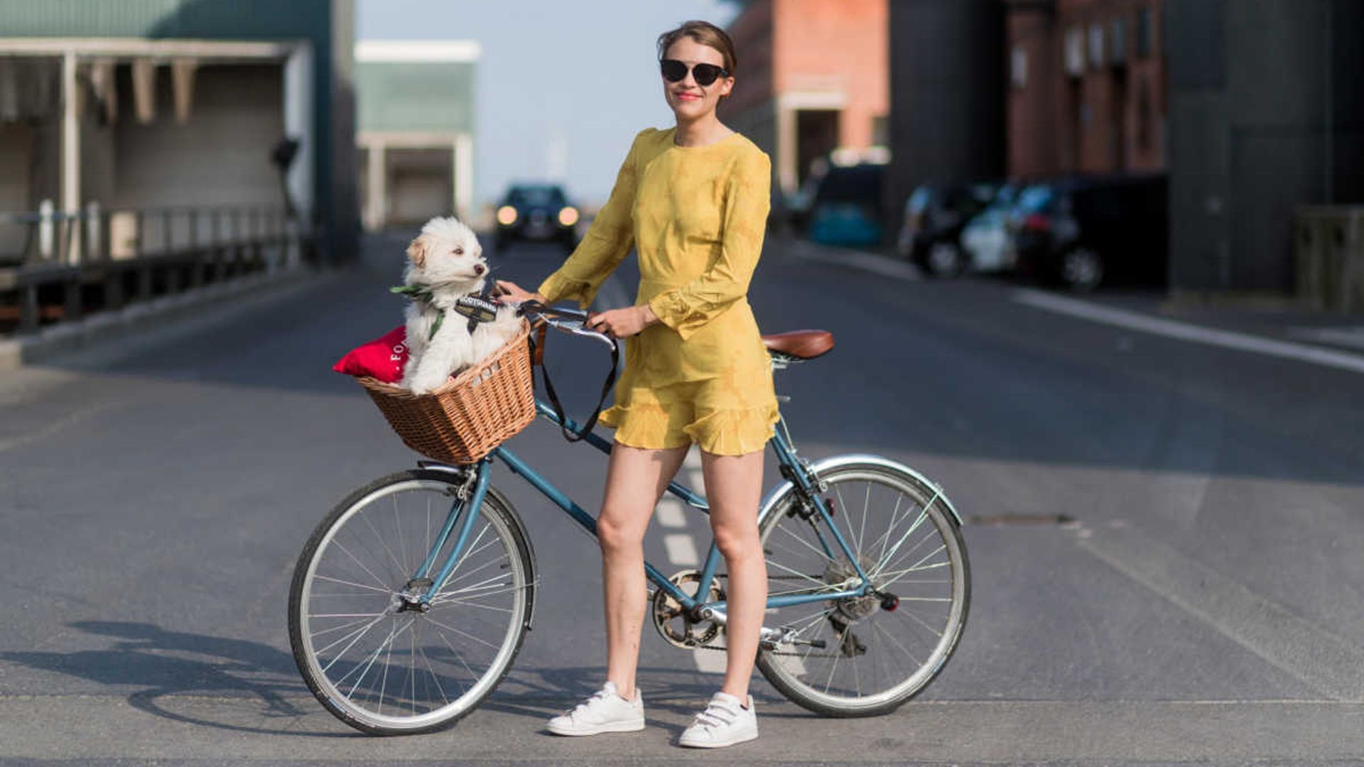 12 best bikes with baskets for ladies: Get inspired with these stylish bicycles