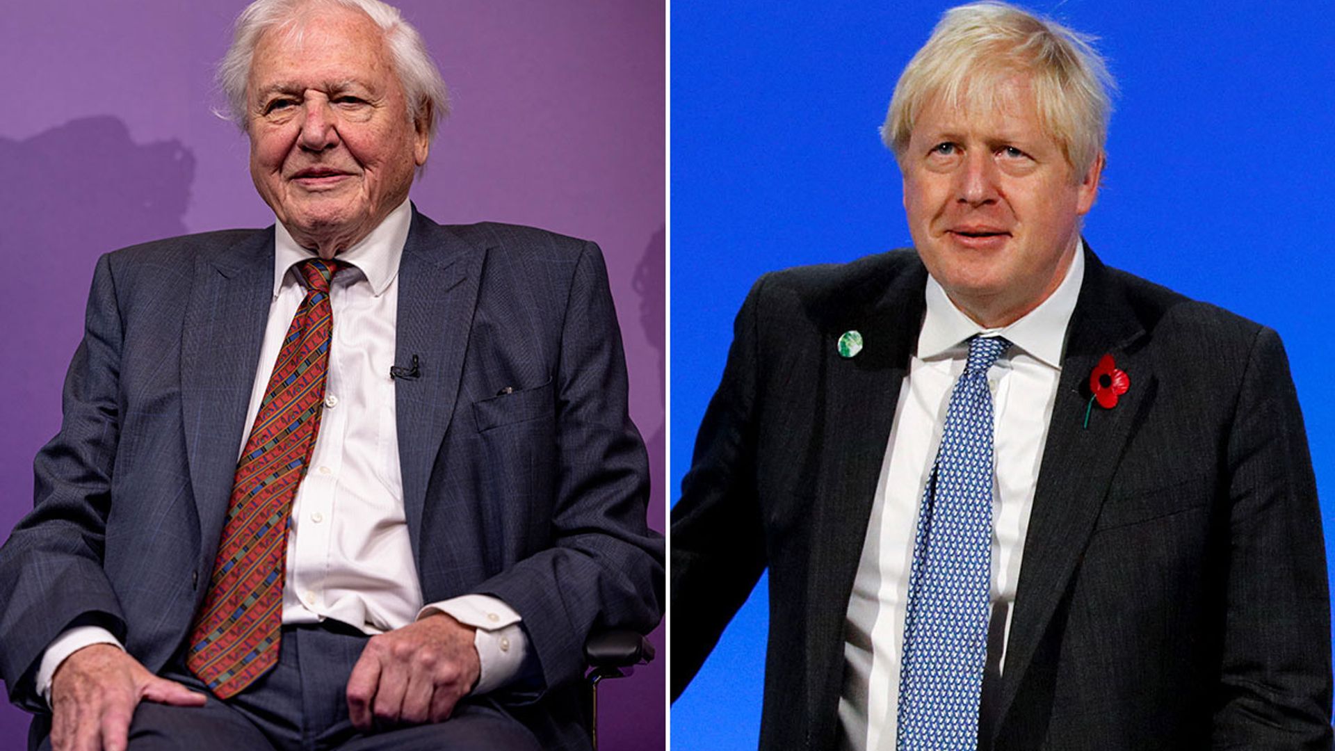 Boris Johnson faces backlash for 'not caring' about David Attenborough's health at COP26