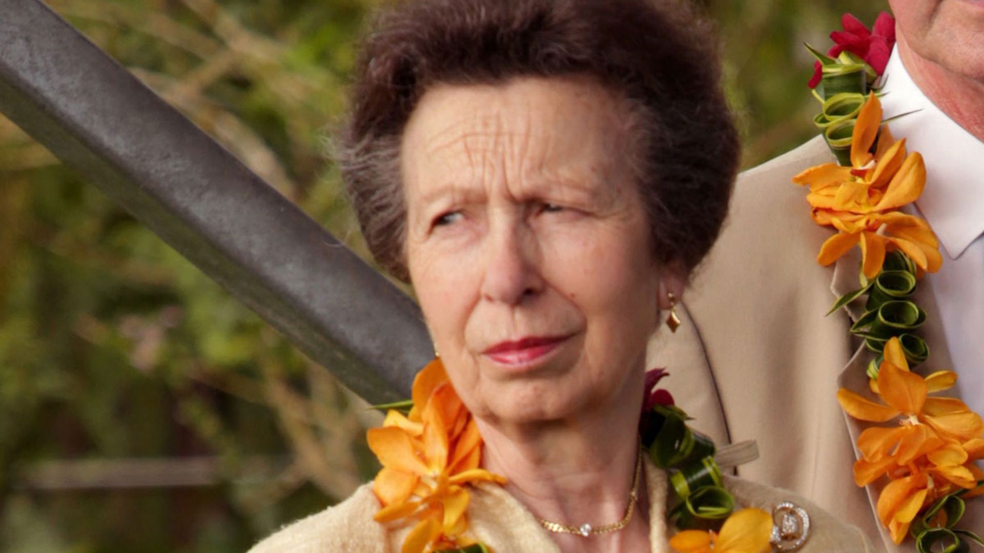 The helpful way Princess Anne is supporting the Queen during ill health